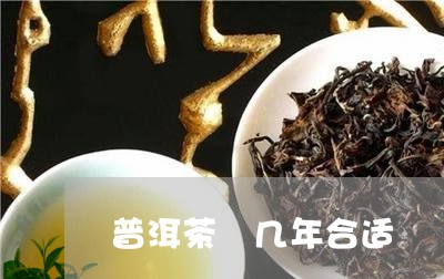 普洱茶 几年合适/2023041089684